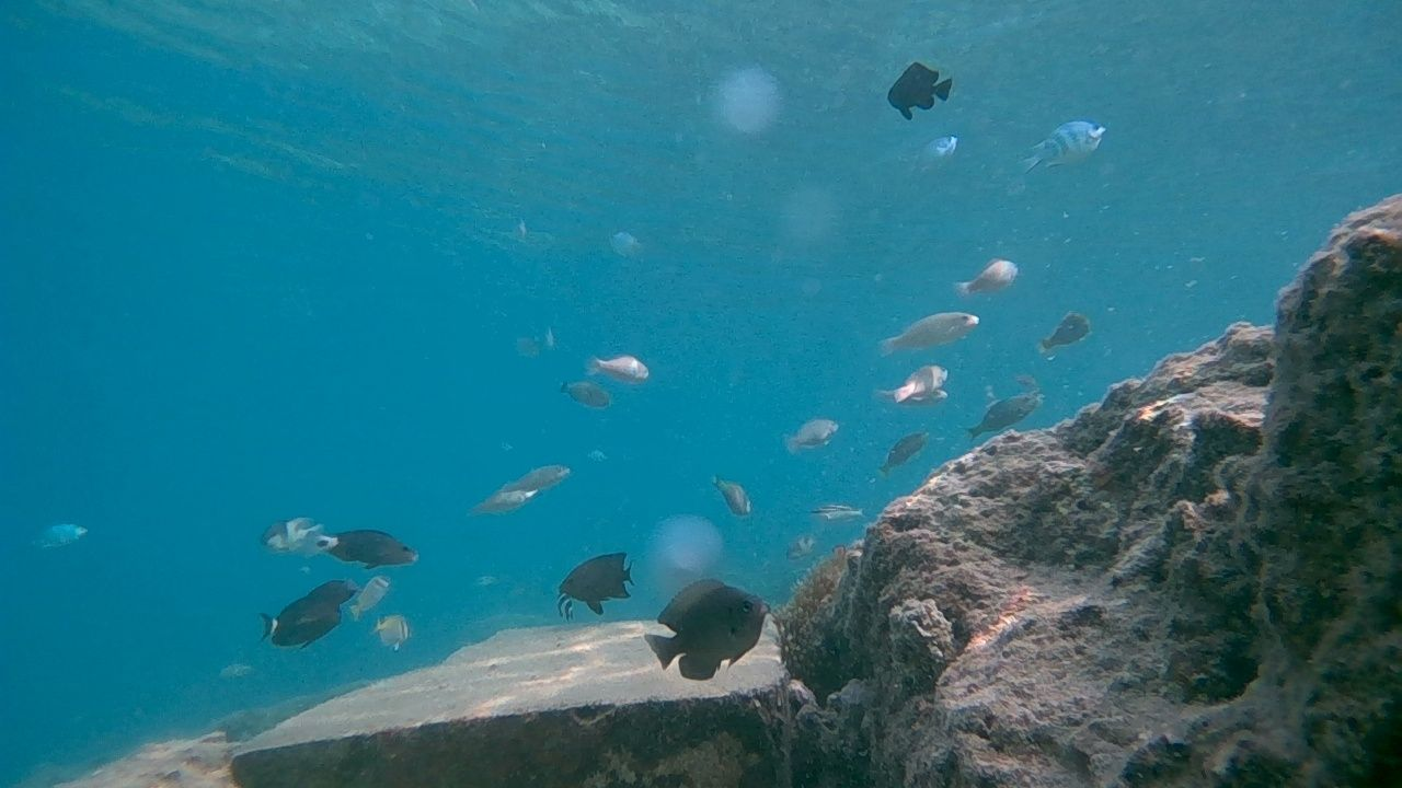 Underwater image acquired during coastal testing
