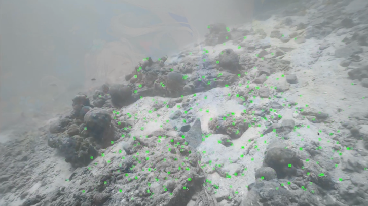 Underwater visual-SLAM image with extracted feature points